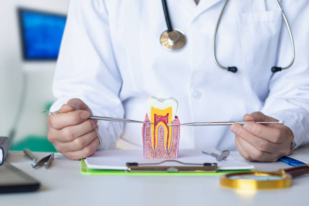 Best After-Hours Dental Trauma Care in Hagerstown, IN